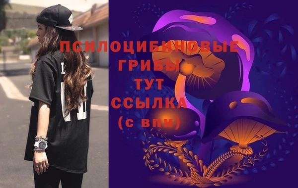 бошки Надым