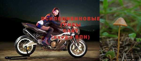 соль ск Наволоки