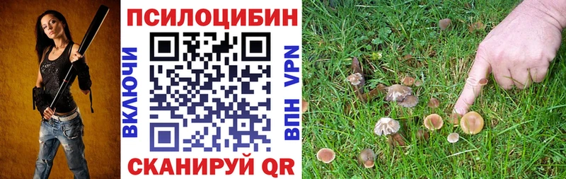 Галлюциногенные грибы ЛСД  купить наркоту  Любань 